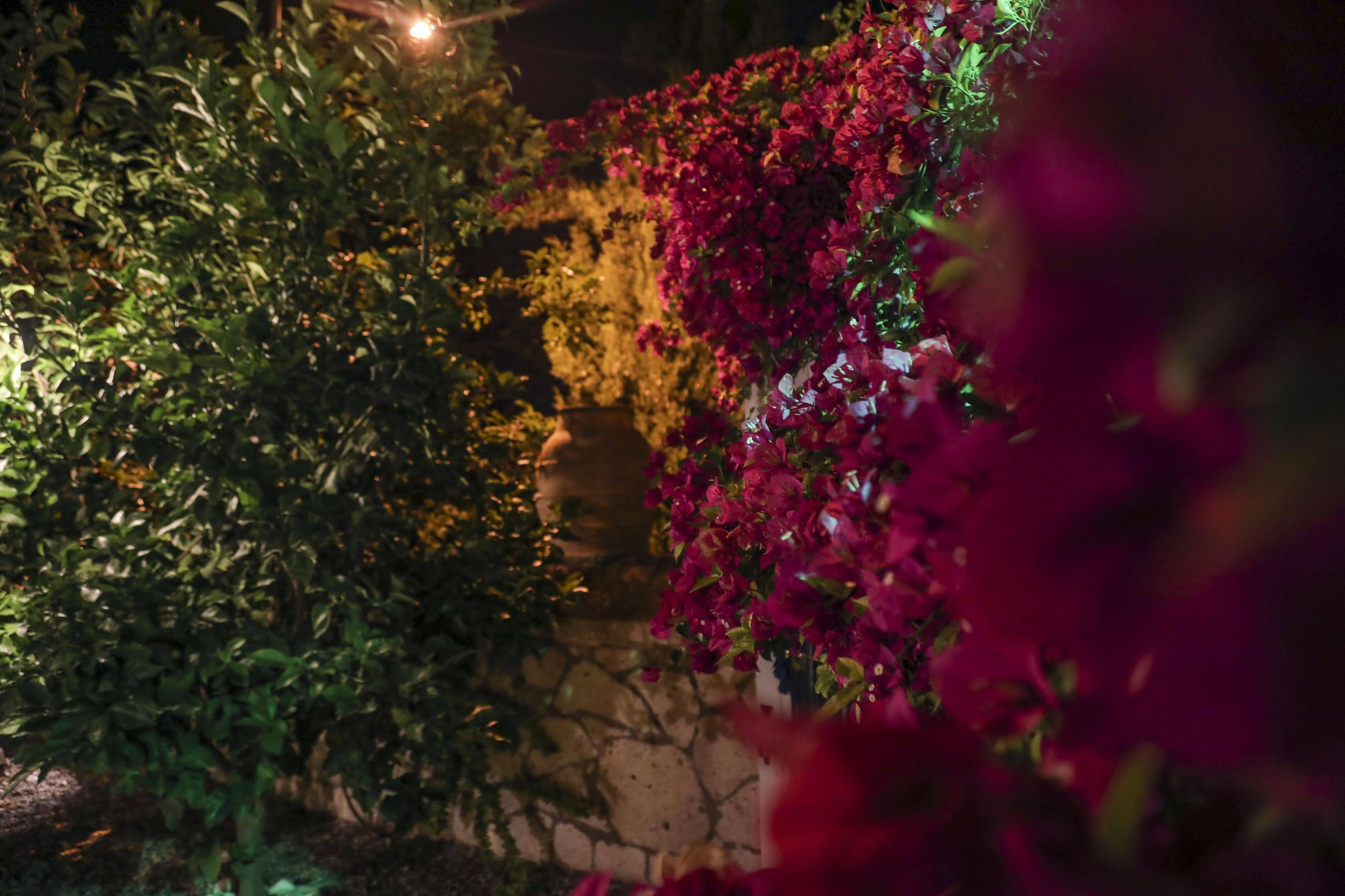 Sari Gelin Alacati Hotel Exteriör bild